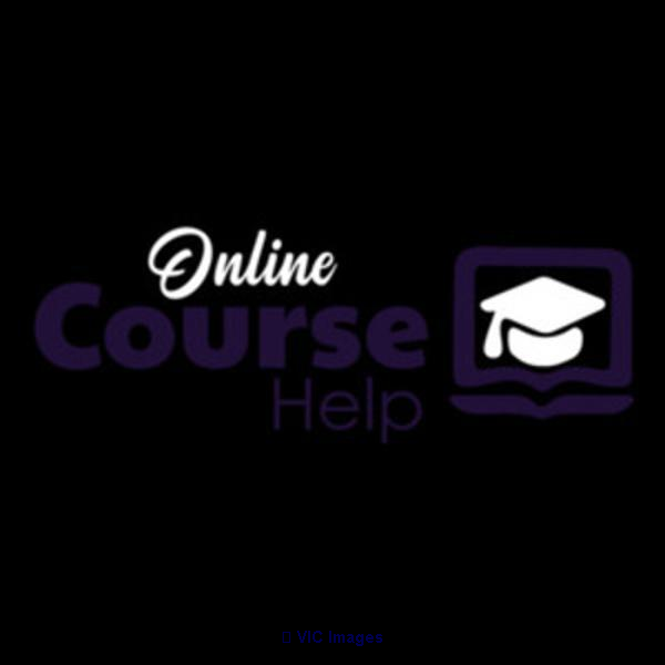 Online Course Help - Photo 1